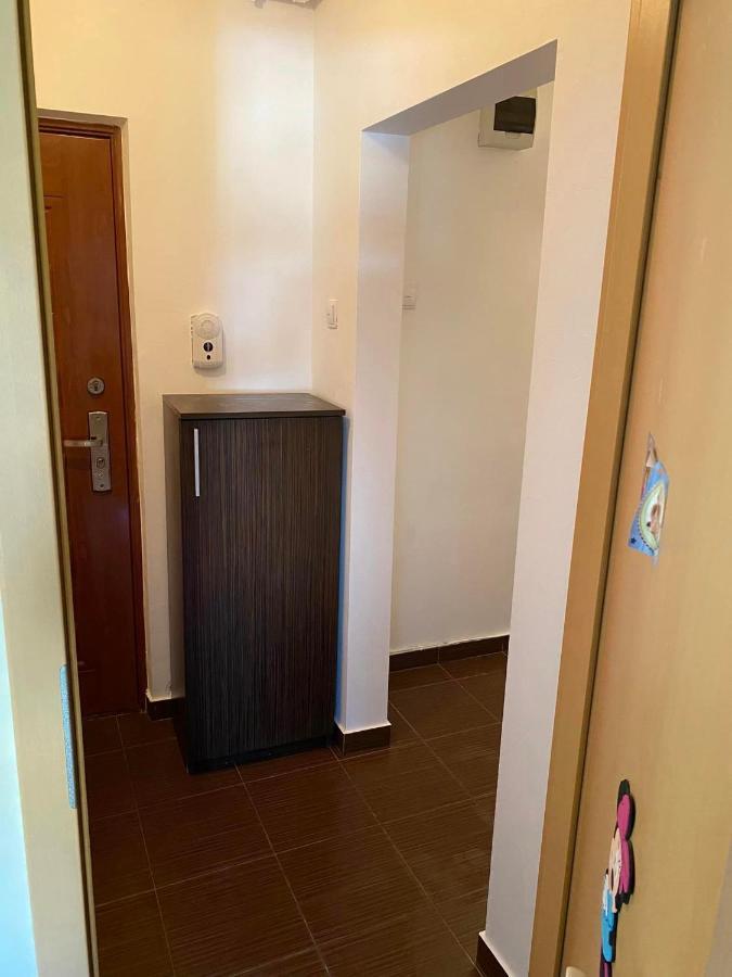 Apartament Piata Verde Тимишоара Экстерьер фото